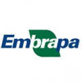 m_embrapa